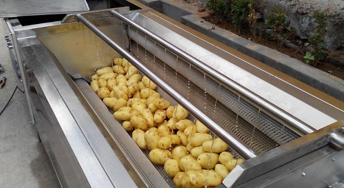 Agricultural produce washing machine
