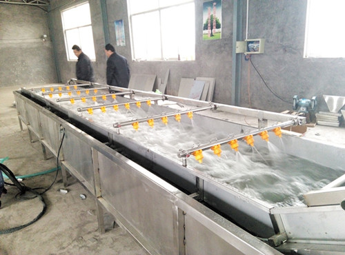 Agricultural produce washing machine
