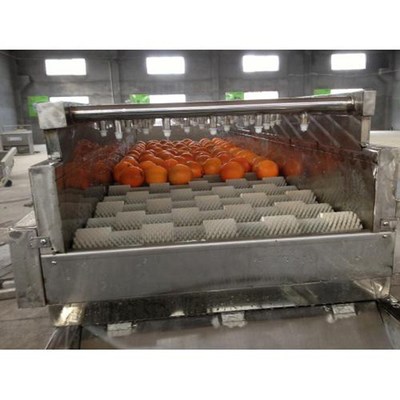 Agricultural produce washing machine