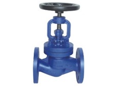 Globe valve