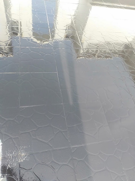 Waterproof Epoxy paint
