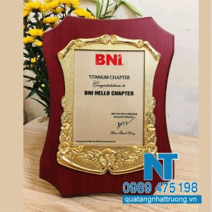 Recognition plaques