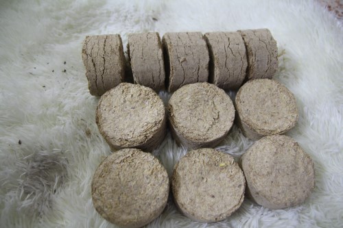 Rice husk
