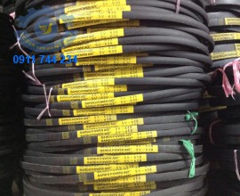 3V 5V 8V curoa belt