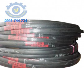 B Bando curooa belt