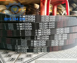 Mitsuba curoa belt