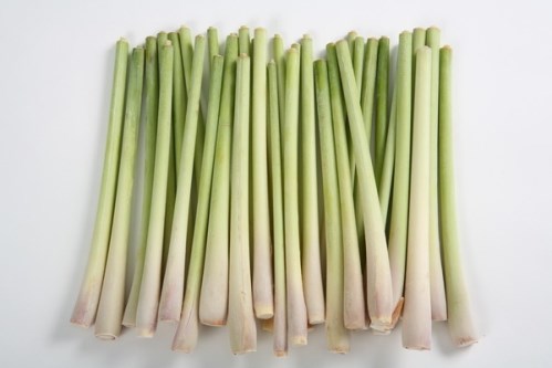 Lemongrass