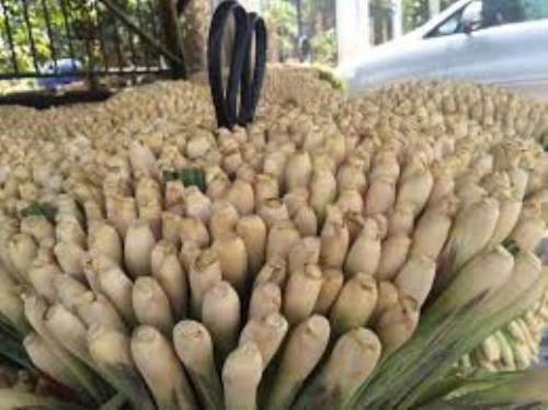 Lemongrass