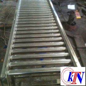 Stainless steel gravity roller conveyor