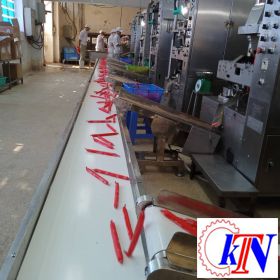 Plastic conveyors for sausage