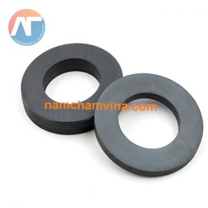 Permanent magnet