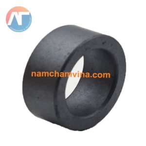 Permanent magnet