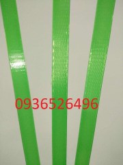 Plastic strap