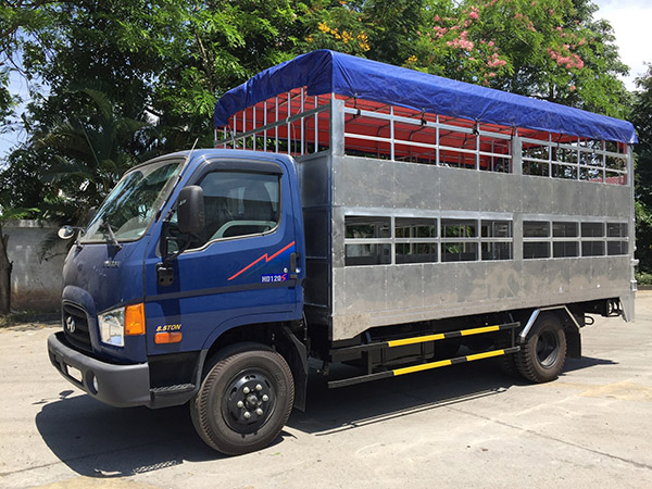 Truck transport