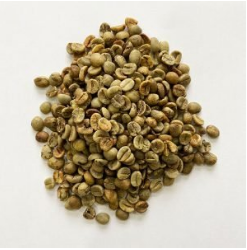 Mung bean