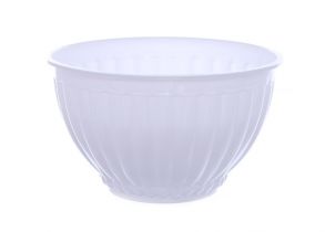 Plastic bowl