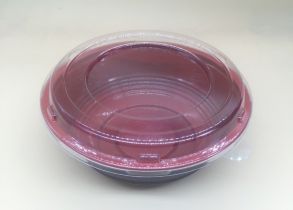 Plastic bowl