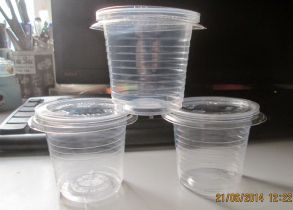 Disposable cup