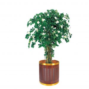 Fake plant pots