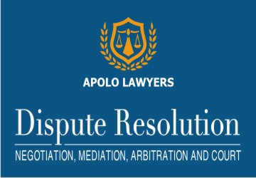 Dispute law consulting