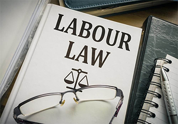 Labor law consulting