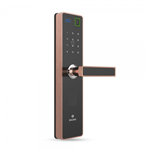 Biometric door locks