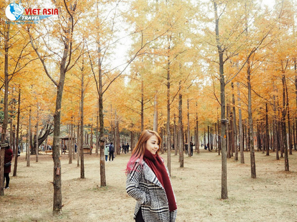 South Korea tour
