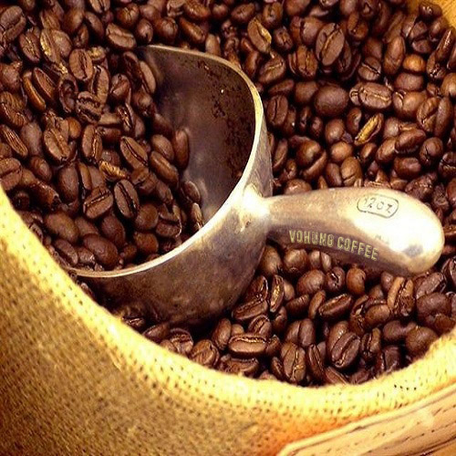 Arabica coffee