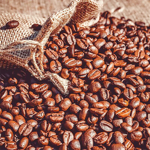 Robusta coffee