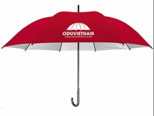 Automatic hand umbrella