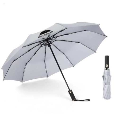 Automatic gift umbrella
