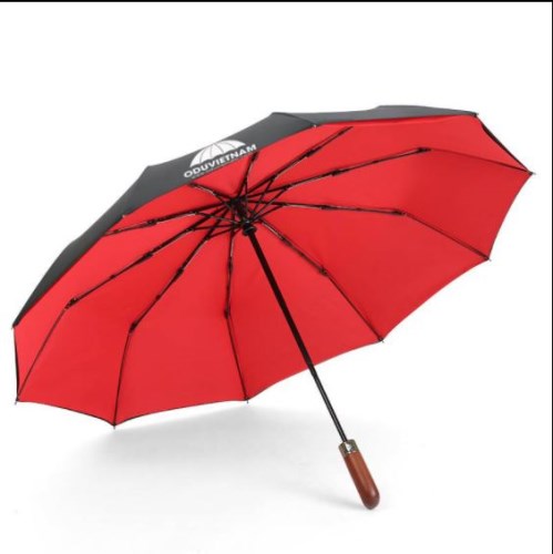 Automatic gift umbrella