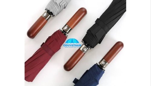 Automatic gift umbrella