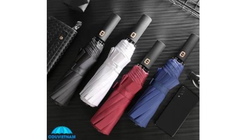 Automatic gift umbrella