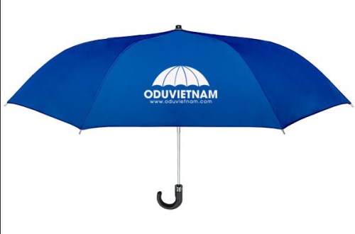 Hand-held advertising umbrella