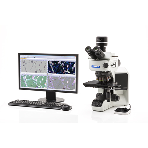 Upright Metallurgical Microscopes