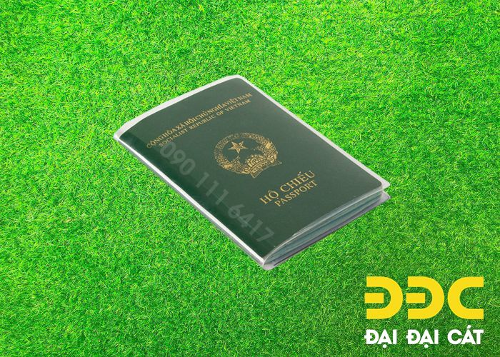 Transparent leather passport pounch