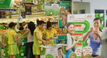 Marketing, brand activation, exhibition