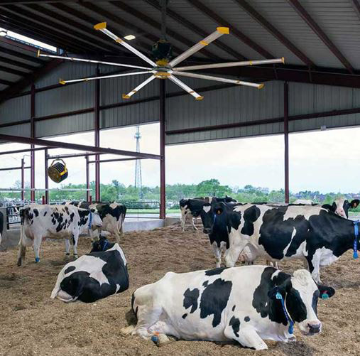 Livestock farm ceiling fan