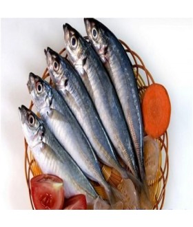Pompano