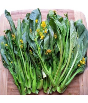 Choy sum