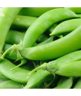 Peas