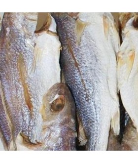 Dried freshwater drum
