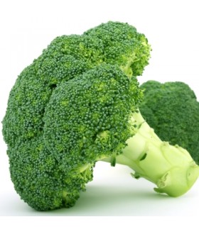 Broccoli