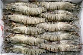 Frozen shrimp