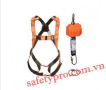 Fall protection system