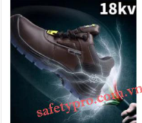 Safety shoes