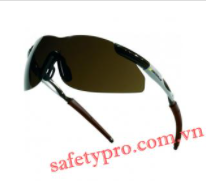 Safety goggles