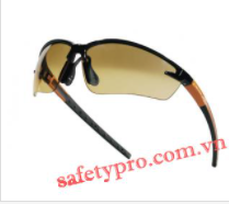 Safety goggles