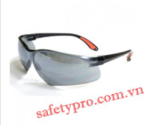 Safety goggles